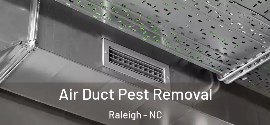 Air Duct Pest Removal Raleigh - NC