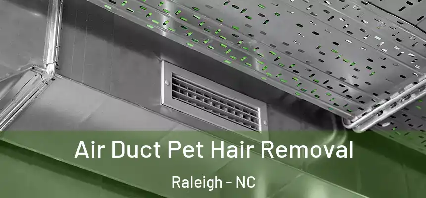 Air Duct Pet Hair Removal Raleigh - NC