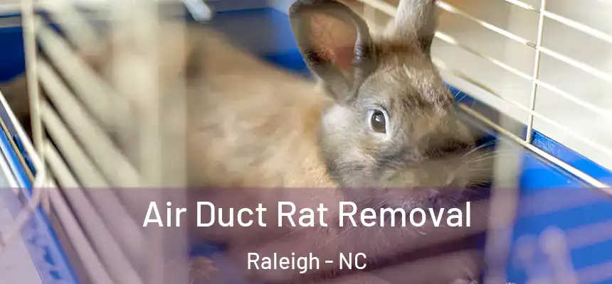 Air Duct Rat Removal Raleigh - NC