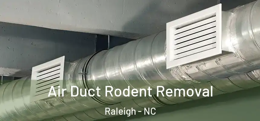 Air Duct Rodent Removal Raleigh - NC