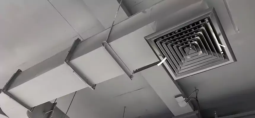 Restorative Allergy Relief Vent Cleaning – Coil, Blower & Housing Detail in Raleigh