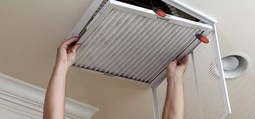 Our Insect Removal from Air Ducts Services in Raleigh, NC