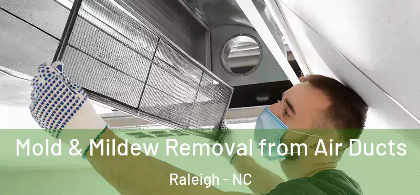 Mold & Mildew Removal from Air Ducts Raleigh - NC