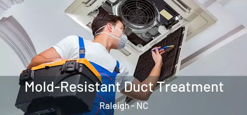 Mold-Resistant Duct Treatment Raleigh - NC