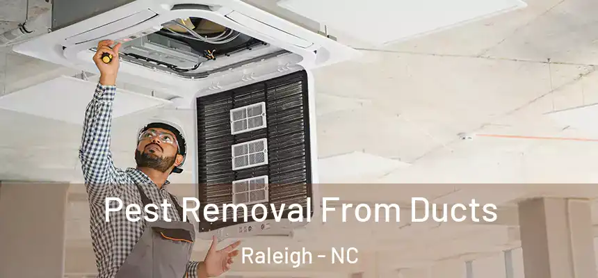 Pest Removal From Ducts Raleigh - NC