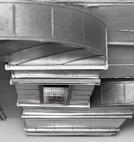 Professional Air Duct Pest Removal in Raleigh, NC