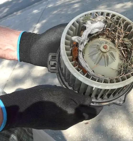 About Air Duct Rat Removal in Raleigh, NC