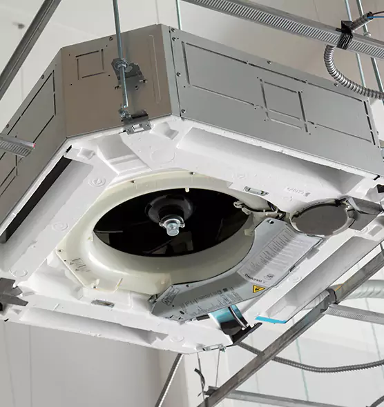 Professional Roof Vent Lint Removal Raleigh, NC