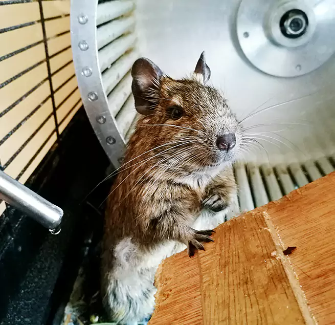 Why Homeowners & Businesses Trust Us Raleigh, NC