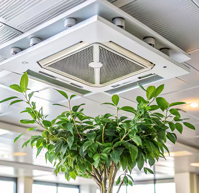 Why Homeowners & Businesses Trust Us in Raleigh, NC?