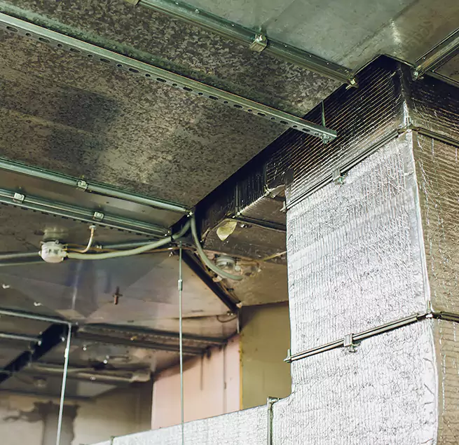 Why Homeowners & Businesses Trust Us in Raleigh, NC?