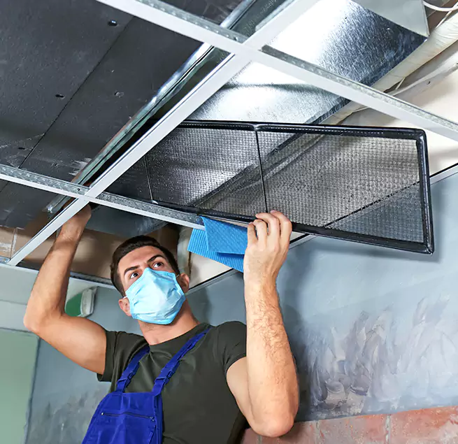 Why Homeowners Businesses Trust Us in Raleigh, NC?